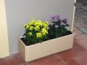 potted-plants-1.jpg